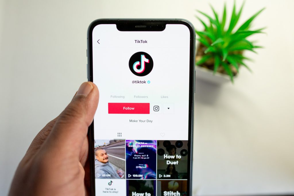 TikTok Downloader, TikTok Video Downloader